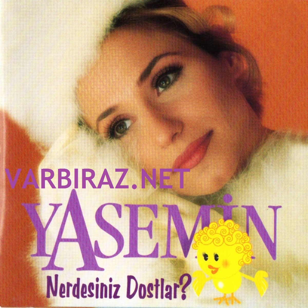 Resim