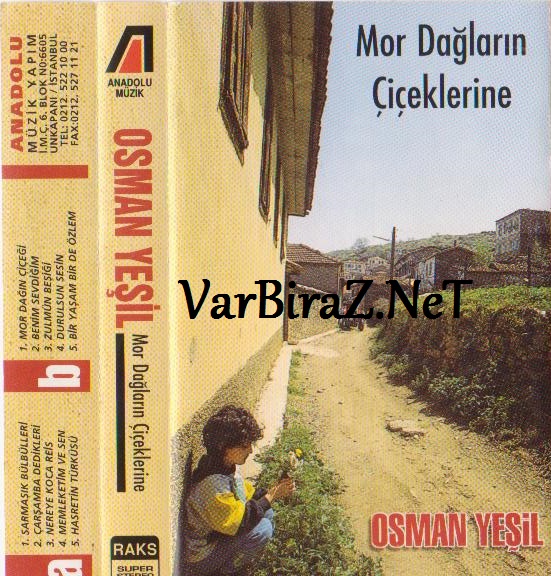 Resim