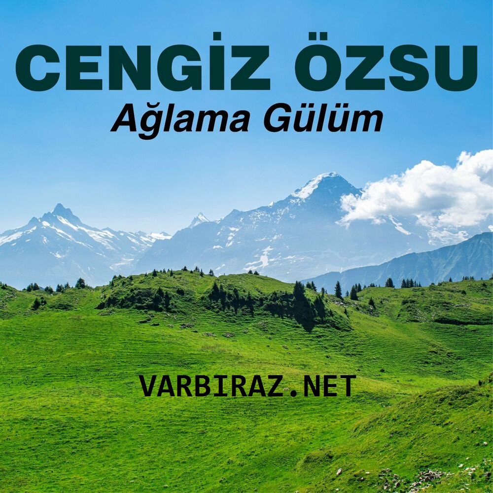 Resim